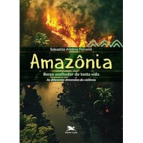 AMAZÔNIA, BERÇO ACOLHEDOR DE TANTA VIDA - AS DIFERENTES DIMENSÕES DA VIOLÊNCIA