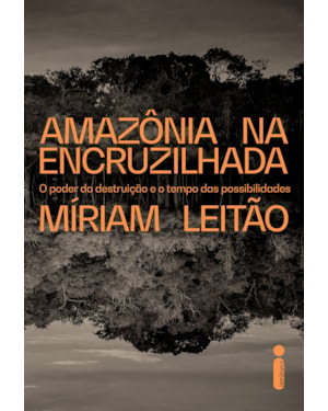 AMAZÔNIA NA ENCRUZILHADA: O PODER DA DESTRUIÇÃO E O TEMPO DAS POSSIBILIDADES