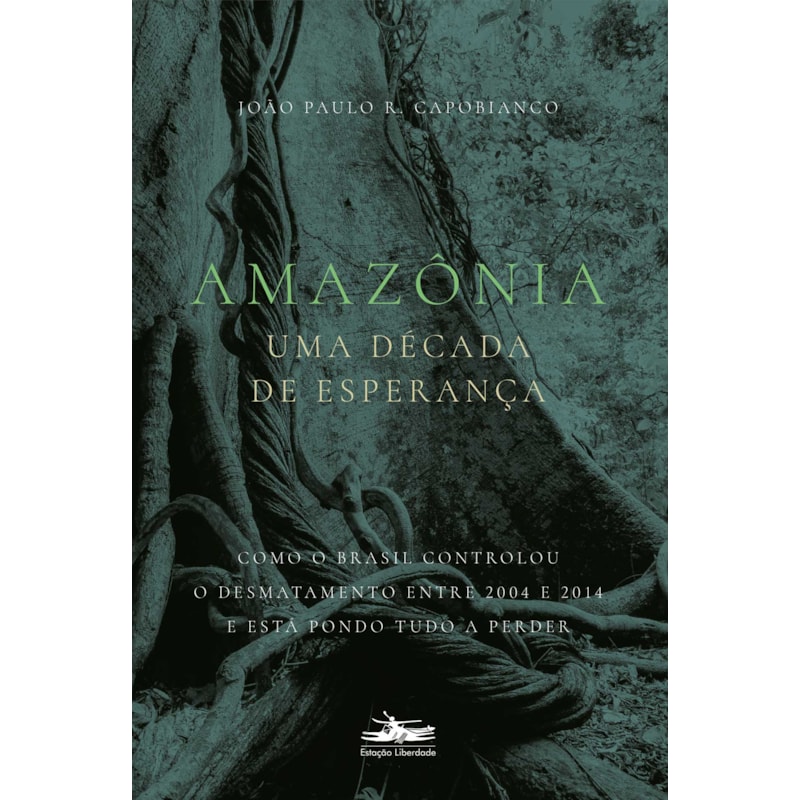 AMAZÔNIA: UMA DÉCADA DE ESPERANÇA
