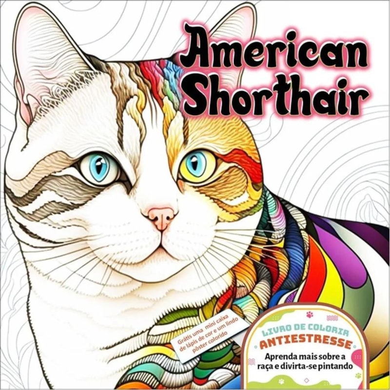 AMERICAN SHORTHAIR
