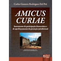 AMICUS CURIAE - INSTRUMENTO DE PARTICIPAÇÃO DEMOCRÁTICA E DE APERFEIÇOAMENTO DA PRESTAÇÃO JURISDICIONAL