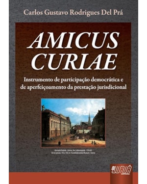 AMICUS CURIAE - INSTRUMENTO DE PARTICIPAÇÃO DEMOCRÁTICA E DE APERFEIÇOAMENTO DA PRESTAÇÃO JURISDICIONAL