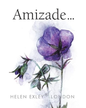 AMIZADE...