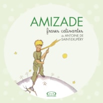 AMIZADE - FRASES CATIVANTES DE ANTOINE DE SAINT-EXUPÉRY
