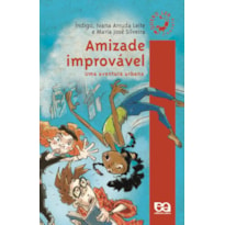 AMIZADE IMPROVÁVEL: UMA AVENTURA URBANA