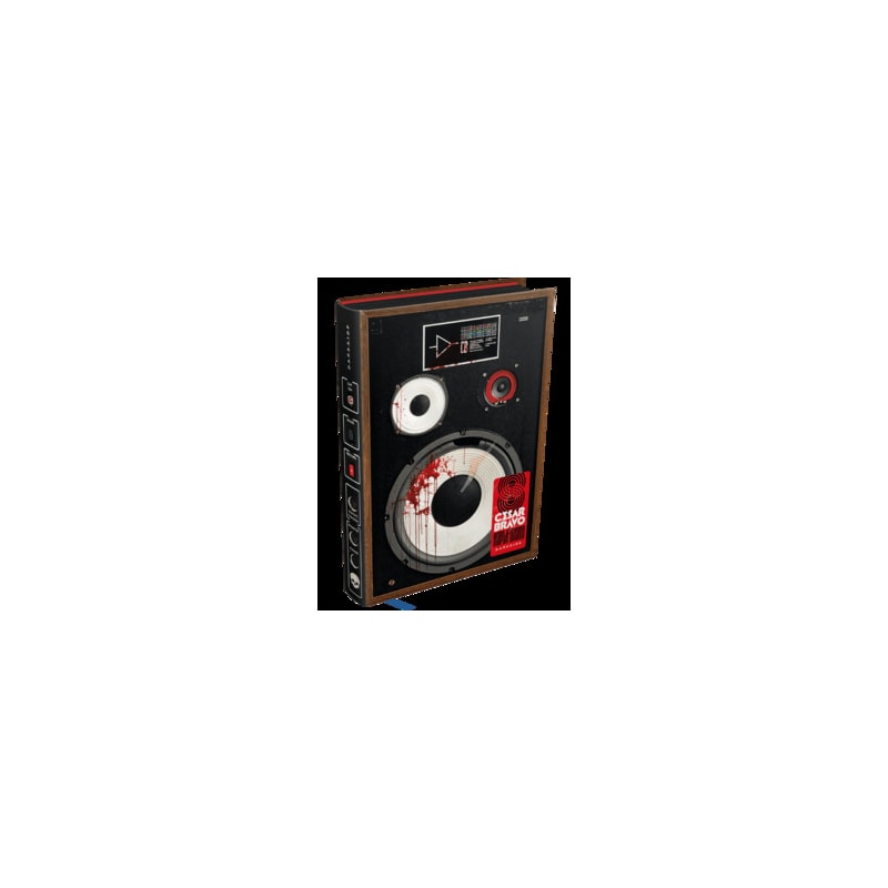 AMPLIFICADOR