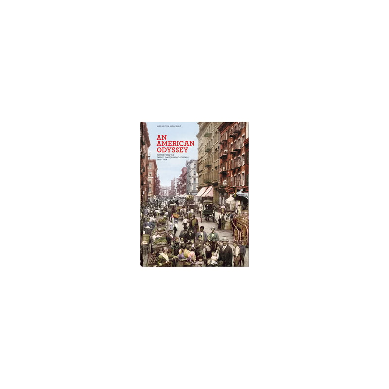 An american odyssey