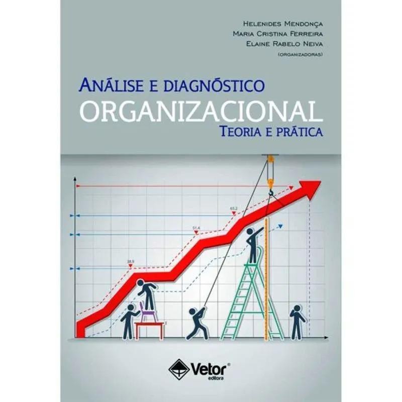 ANÁLISE E DIAGNÓSTICO ORGANIZACIONAL: TEORIA E PRÁTICA