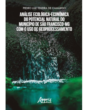 ANÁLISE ECOLÓGICO ECONÔMICA DO POTENCIAL NATURAL DO MUNICÍPIO DE SÃO FRANCISCO-MG COM O USO DE GEOPROCESSAMENTO