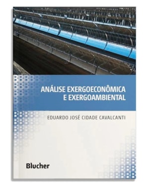 ANÁLISE EXERGOECONÔMICA E EXERGOAMBIENTAL