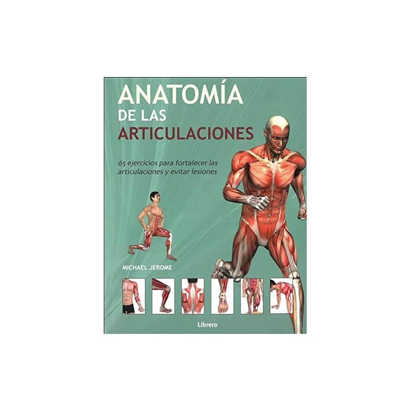 Anatomía de las articulaciones: 65 ejercicios para fortalecer las articulaciones y evitar lesiones