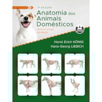 ANATOMIA DOS ANIMAIS DOMÉSTICOS: TEXTO E ATLAS COLORIDO