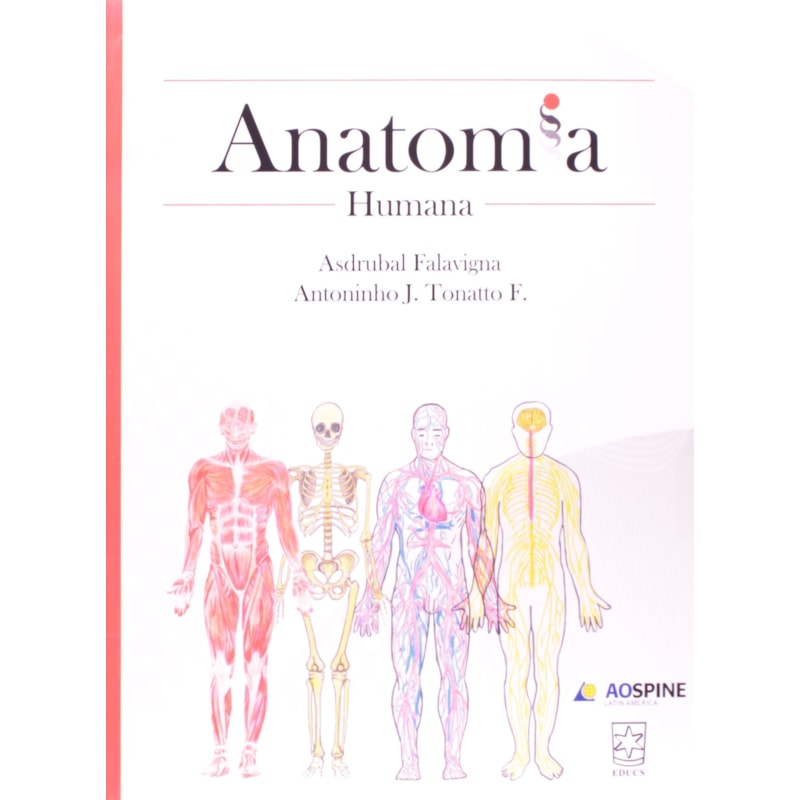 ANATOMIA HUMANA - 1