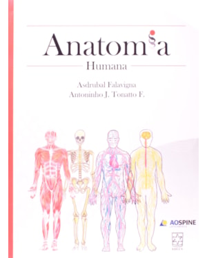 ANATOMIA HUMANA - 1