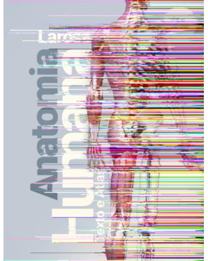 ANATOMIA HUMANA