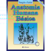 ANATOMIA HUMANA BÁSICA