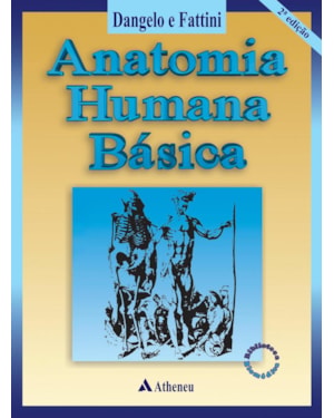 Anatomia humana básica