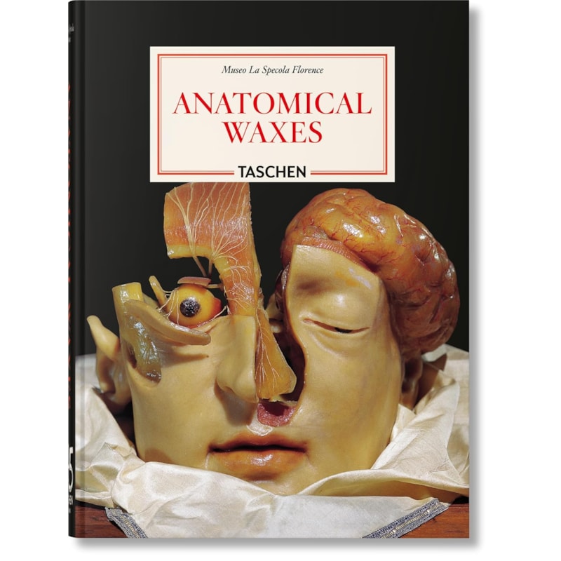 Anatomical waxes. 45th ed.