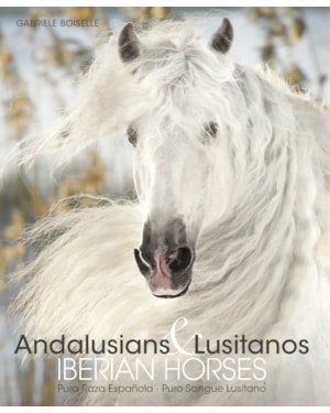 Andalusians & lusitanos - iberian horses