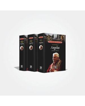 ANGELUS DO PAPA BENTO XVI