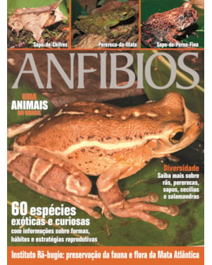 ANIMAIS DO BRASIL - ANFÍBIOS: INSTITUTO RÃ-BUGIO - PRESERVAÇÃO DA FAUNA E FLORA DA MATA ATLÂNTICA