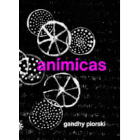 ANÍMICAS: A CRIANÇA, O TEMPO E O ÍNTIMO