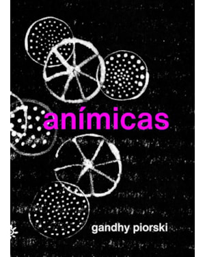 ANÍMICAS: A CRIANÇA, O TEMPO E O ÍNTIMO