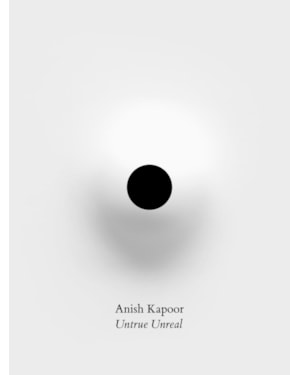 Anish Kapoor - Untrue unreal