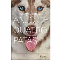 ANJO DE QUATRO PATAS: A VERDADEIRA AMIZADE ENTRE UM HOMEM E SEU CACHORRO