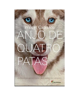 Anjo de quatro patas: a verdadeira amizade entre um homem e seu cachorro