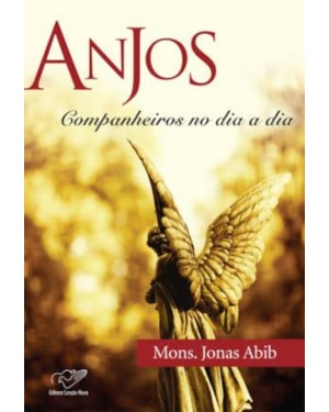 ANJOS COMPANHEIROS NO DIA A DIA
