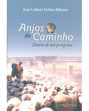 ANJOS DO CAMINHO - DIARIO DE UM PEREGRINO - 1º