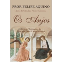 ANJOS, OS - COM AS 7 CATEQUESES DO PAPA JOAO PAULO II SOBRE OS ANJOS