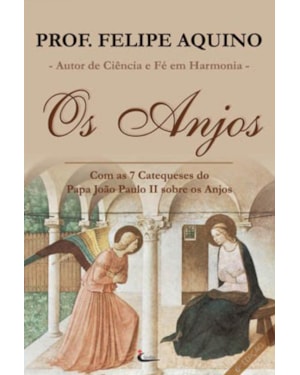 ANJOS, OS - COM AS 7 CATEQUESES DO PAPA JOAO PAULO II SOBRE OS ANJOS