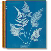 Anna Atkins, cyanotypes