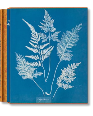 Anna Atkins, cyanotypes