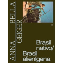 ANNA BELLA GEIGER: BRASIL NATIVO, BRASIL ALIENIGENA