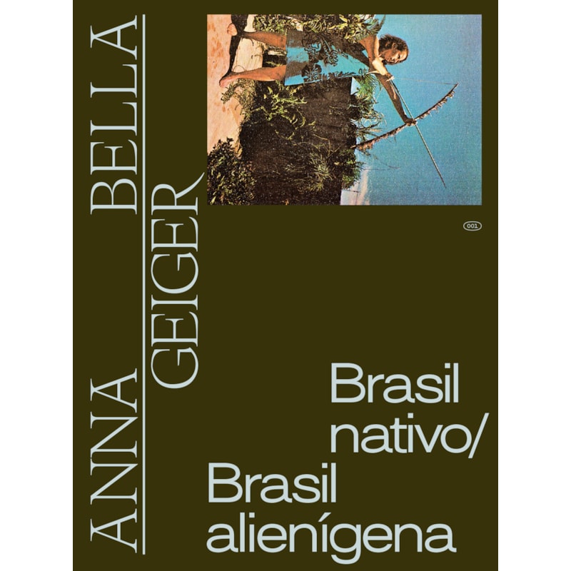 ANNA BELLA GEIGER: BRASIL NATIVO, BRASIL ALIENIGENA