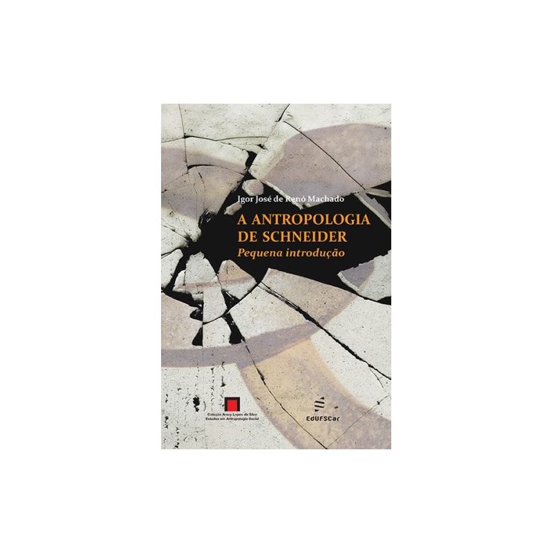 ANTROPOLOGIA DE SCHNEIDER