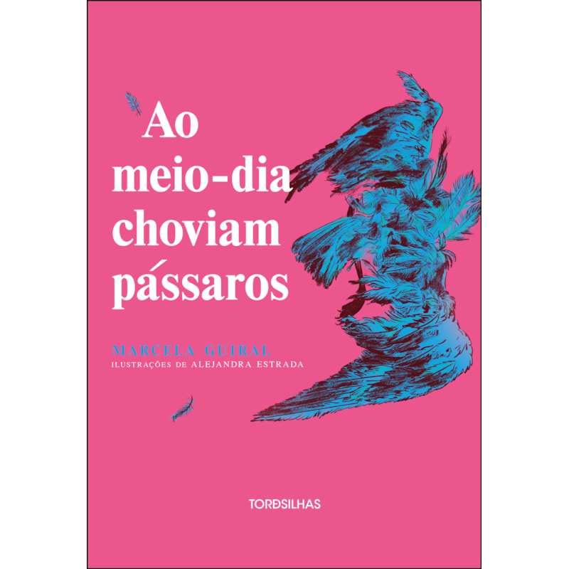 Ao meio-dia choviam pássaros