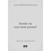 AONDE VAI COM TANTA PRESSA?: BUDISMO PARA A VIDA COTIDIANA