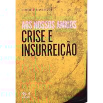 Aos nossos amigos: crise e inssureição