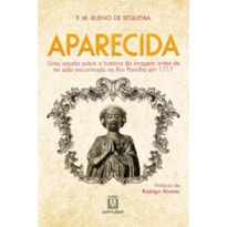 APARECIDA: UMA NOVELA SOBRE A HISTÓRIA DA IMAGEM ANTES DE TER SIDO ENCONTRADA NO RIO PARAÍBA