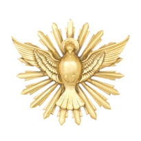 APLIQUE ESPÍRITO SANTO DOURADO