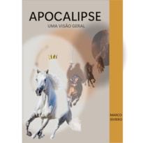 APOCALIPSE: UMA VISÃO GERAL