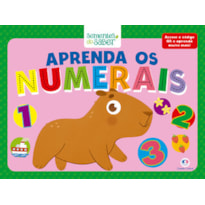 APRENDA OS NUMERAIS