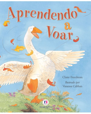 APRENDENDO A VOAR