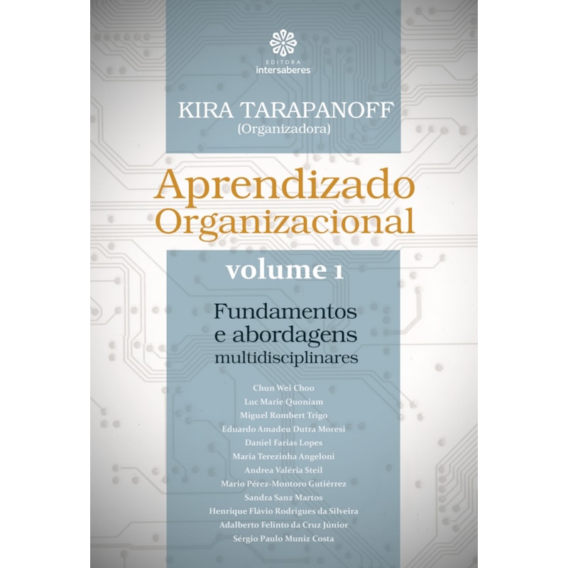APRENDIZADO ORGANIZACIONAL - VOLUME 1:: FUNDAMENTOS E ABORDAGENS MULTIDISCIPLINARES