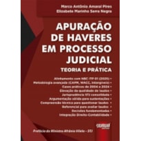 APURAÇÃO DE HAVERES EM PROCESSO JUDICIAL - TEORIA E PRÁTICA