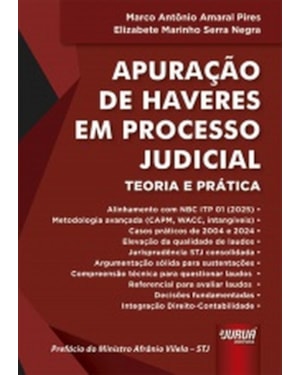 APURAÇÃO DE HAVERES EM PROCESSO JUDICIAL - TEORIA E PRÁTICA